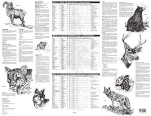 Yosemite National Park Hiking Map