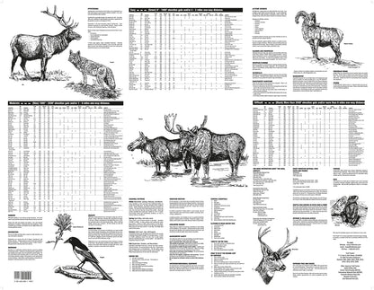 Rocky Mountain National Park Hiking Map