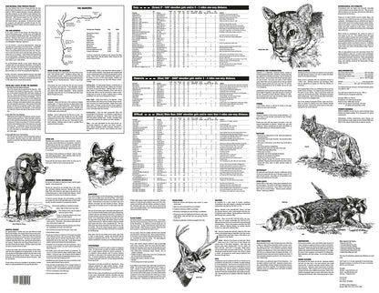 Zion National Park Hiking Map
